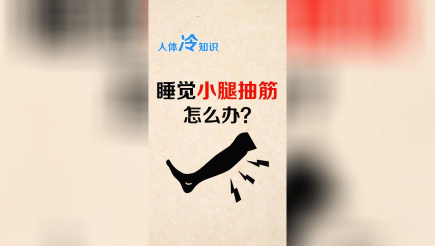澳门开奖新结果2025开奖结果查询,多元化方案执行策略_界面版V8.52