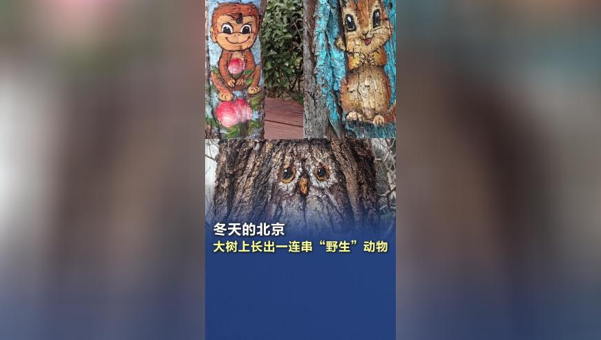 蔚来宣布将全力打击黑公关,香港内部资料精准大全,广泛的解释落实方法分析_标配版V15.54