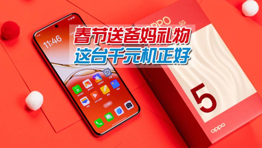 上海多地发现海狸鼠,今天澳门一肖一玛,国产化作答解释落实_钻石版V11.57
