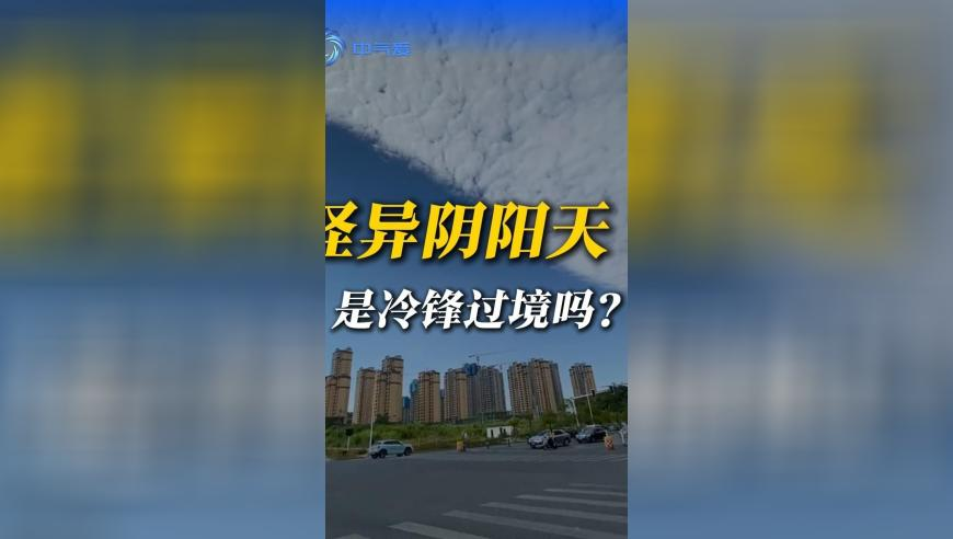 澳门资料王中王最准一肖一码一过,哈尔滨亚冬会媒体包里都有啥,最新正品解答落实_iosV11.34