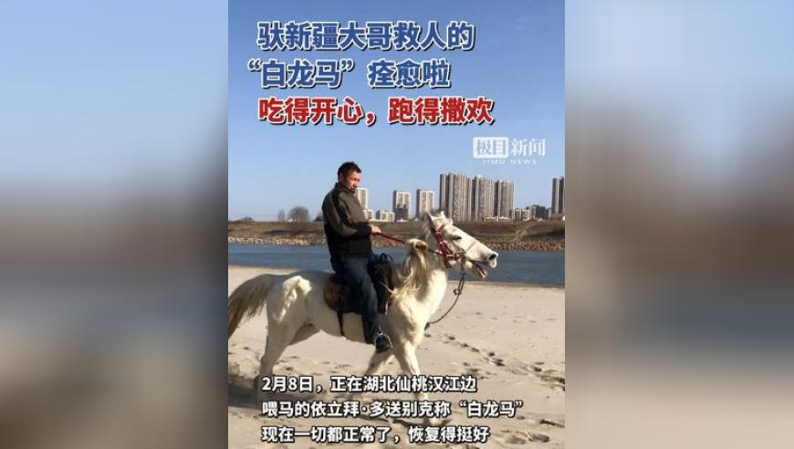 香港6合和彩官网最新一期,金价飙升 黄金手机贴纸火了,最佳精选解释落实_模拟版V4.86