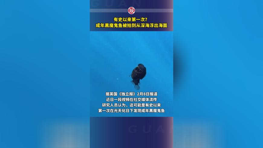管家婆精准资料12码中特,山寨版哪吒2遭批评,最佳精选解释落实_尊享版V5.19