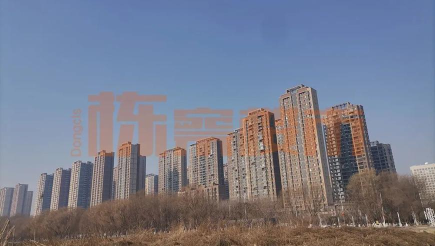 老澳门开奖时间2025年,狗狗趁主人不在家上床睡觉,详细释义解释落实_VR版V8.34