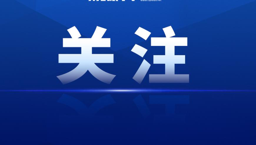 王聪战胜布拉西尔,澳彩开奖结果2025年今晚开奖,收益成语分析落实_投资版V13.53