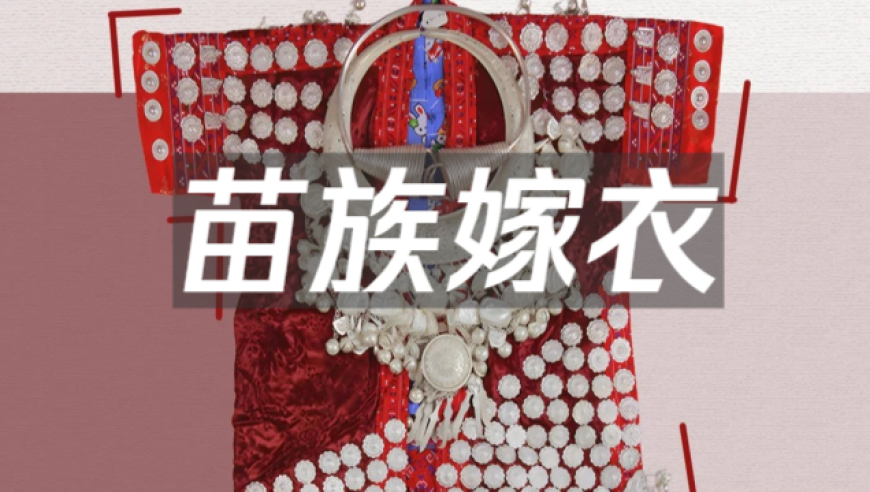 杨涛出任交行副行长,香港二四六开奖免费结果118,完美答案解释落实_影像版V12.44