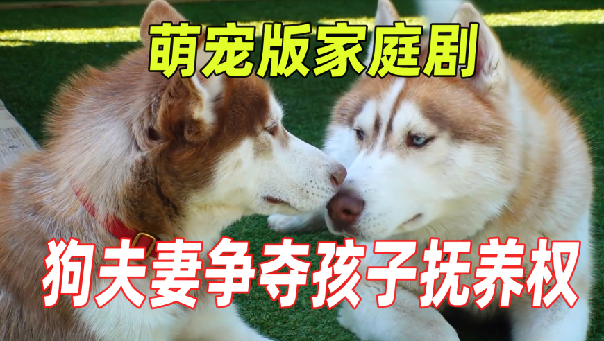 澳门一特一肖一后一中奖,现货黄金冲上3110美元,成语解释落实可能存在的问题_iosV3.45