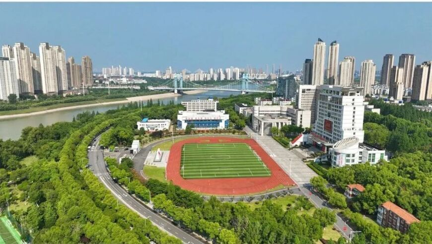 2025澳门全年正版资料,张诗尧高迪线下合体,全面解答解释落实_创意版V2.54